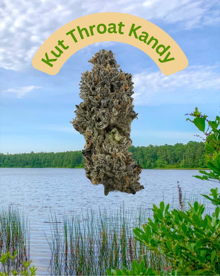 Kut Throat Kandy flower by Bass River Buds